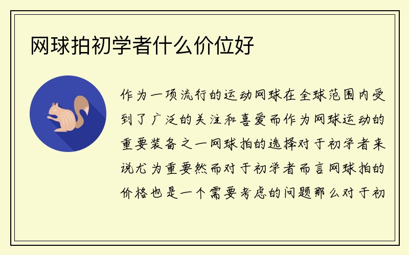 网球拍初学者什么价位好